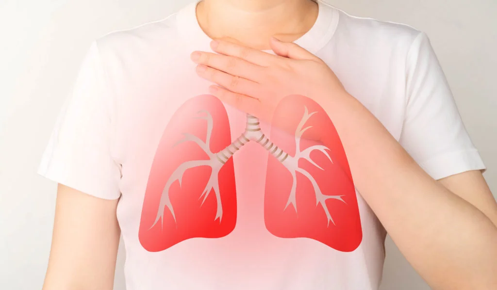 Sistema respiratorio infiammato